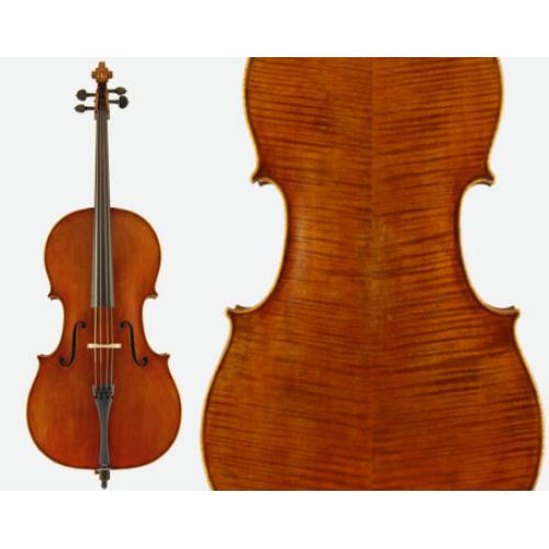 Otto Cello VC530