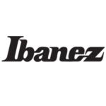 Ibanez black