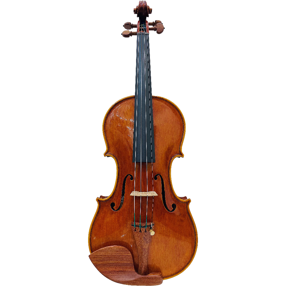 Violins Vivace Violins